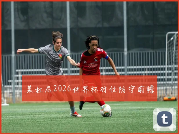莱杜尼2026世界杯对位防守前瞻