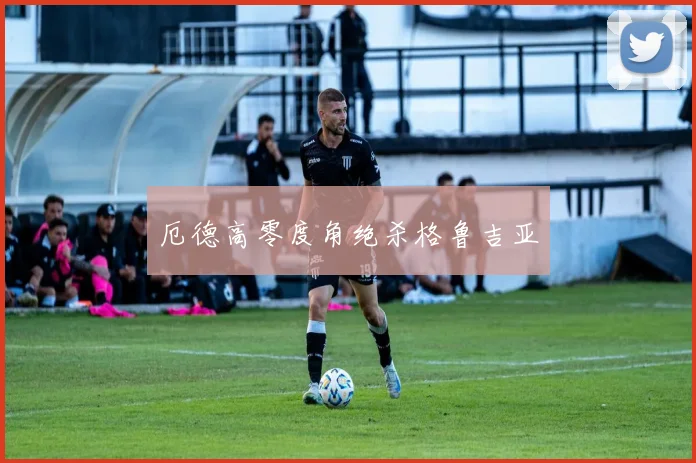 厄德高零度角绝杀格鲁吉亚