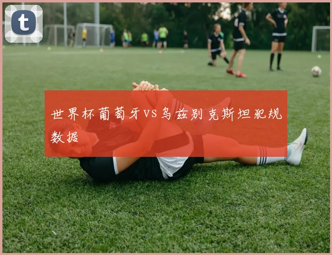 世界杯葡萄牙vs乌兹别克斯坦犯规数据