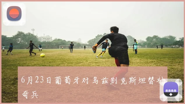 6月23日葡萄牙对乌兹别克斯坦替补奇兵