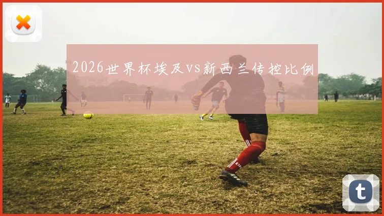 2026世界杯埃及vs新西兰传控比例