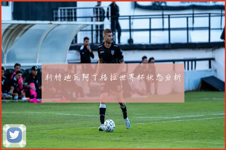 科特迪瓦阿丁格拉世界杯状态分析