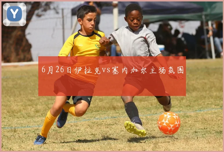 6月26日伊拉克vs塞内加尔主场氛围