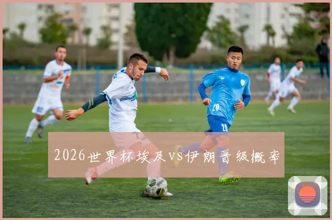 2026世界杯埃及vs伊朗晋级概率